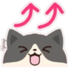 🐈💜Gatitos Variados🖤🐈 14