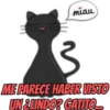 miau
ME PARECE HABER VISTO
UN & LINDO? GATITO...