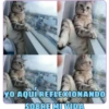 YO AQUÍ REFLEXIONANDO
SOBRE MIIVIDA