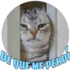 DE QUE
QUE ME PERDA