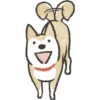 Dog Shiba Inu 18