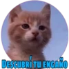 DESCUBRI TU ENGAÑO