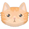www
