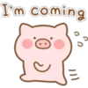 Mini Pig (Classic) 18