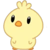 Comida y patito 13