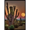 La luna y el sol 19
