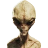 Alien Life 24