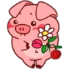 Pig 01 19
