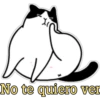 No te quiero ver