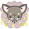 Kawaii Chihuahua II (Classic) 23