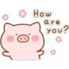 Mini Pig (Classic) 22