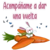 Acompáñame a dar
una vuelta