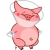 Pig 01 21
