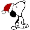 Natal 21