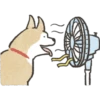 Dog Shiba Inu 21