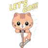 ginger CAT 18