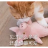 花花与三猫表情包 20
