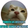 TAMBIÉN LOS OBSERVO A
USTEDES, AUNQUE ME IGNOREN