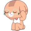 11/
