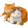 Amantes🐱gatitos 21