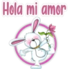 Hola mi amor