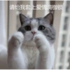 花花与三猫表情包 22
