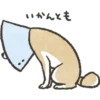 いかんとも