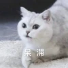花花与三猫表情包 24