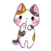 Miau Chat 26