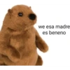 mucha risa 23