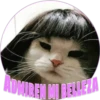 ADMIREN MI BELLEZA