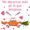 Me importas más
de lo que
imaginas
Lorena