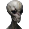 Alien Life 29