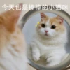 花花与三猫表情包 25