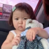 Koreanita 4 29