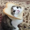 BB