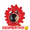 DESPIERTA!!!