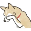 Dog Shiba Inu 25