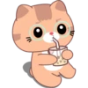 ginger CAT 25