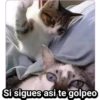 Si sigues asi te golpeo