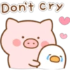 Mini Pig (Classic) 27