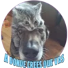 40
A DONDE CREES QUE VAS
