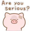 Mini Pig (Classic) 28