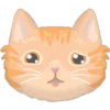 Amantes🐱gatitos 29