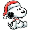 Natal 24