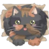 Amantes🐱gatitos 30