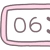 06