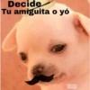 🐕PERRITO TOXICO2🐕 5