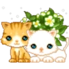 Gatitos bonitos 5