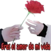 Eres el amor de mi vida